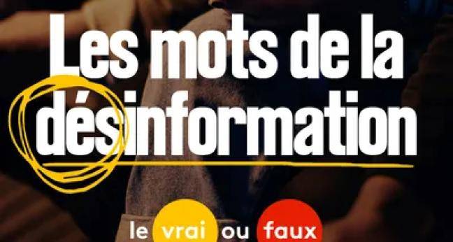 Les mots de la désinformation