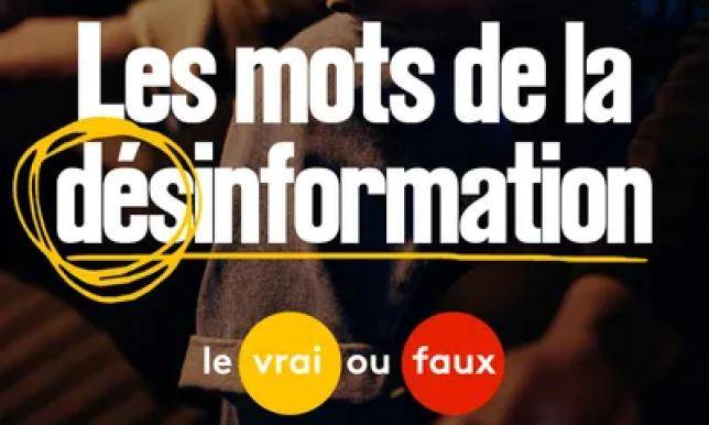 Les mots de la désinformation